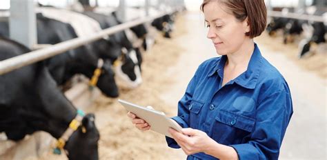 How Machine Learning Is Helping With The Digitalization Of Farming