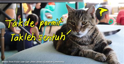 Some animal welfare groups are celebrating the new act, and await a better malaysia for the animals they care for. Malaysia's Animal Welfare Act requires cat and dog cafes ...
