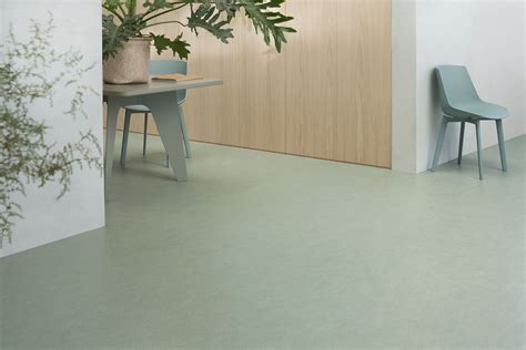 Natural Linoleum Flooring Commercial Interior Design Linoleum