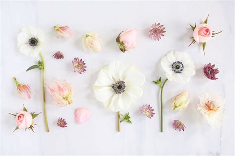 🔥 Download Floral Desktop Wallpaper Background Pictures By Mmckinney42