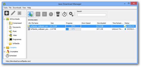 Download Java Download Manager