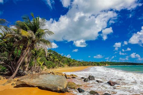 The Best Beaches In Puerto Rico