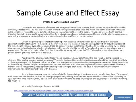 Cause Effect Essay Example Sketsa