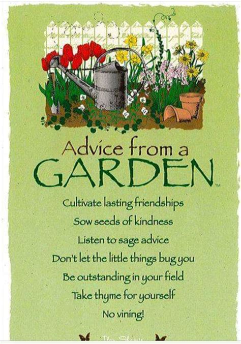 Check spelling or type a new query. Pin by Cynthia Redden on Green Thumb Gardening! | Nature quotes, Advice quotes, Garden quotes