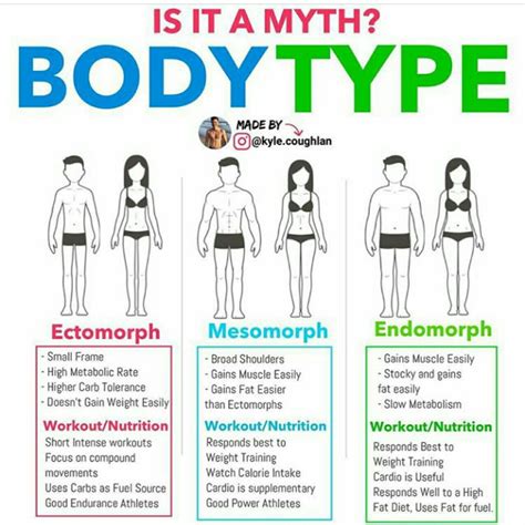 Comment Your Body Type Below 👇 With Images Body Type Workout Body Types Metabolic