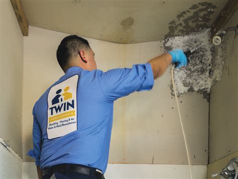 Free Mold Inspection Los Angeles Clydelallemand