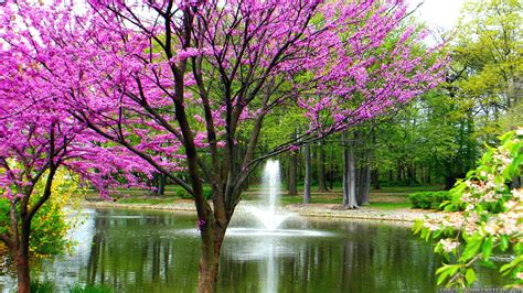 Spring scenery wallpapers hd custom size generator. Beautiful Spring Wallpaper ·① WallpaperTag