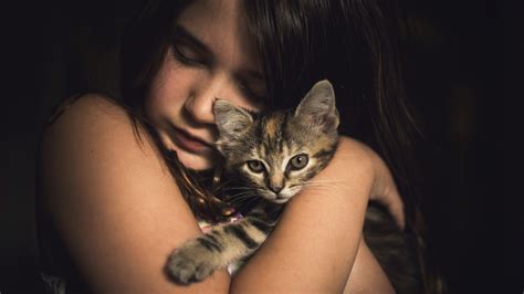 2560x1440 Cute Little Girl With Kitten 1440p Resolution Hd 4k