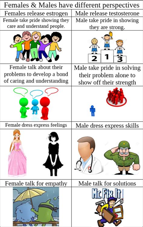 the difference between male and female