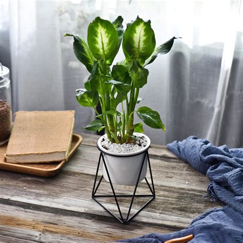 For such containers without drainage holes, you can use a spray bottle or syringe to water the plant so that you control the this means you will water them less often. Geometric Flowerpot - YaasYaas