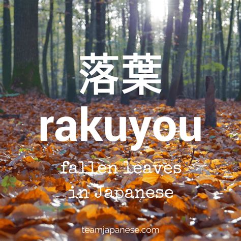 20 Beautiful Japanese Seasonal Words for Autumn - Team Japanese