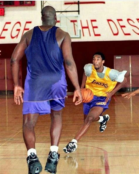 Kobe Vs Shaq Kobe Bryant Kobe Bryant Nba Kobe