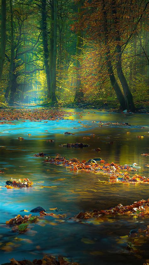 Tina Koskima 🇫🇮🕊️🇺🇦 On Twitter Amazing Nature Photos Beautiful