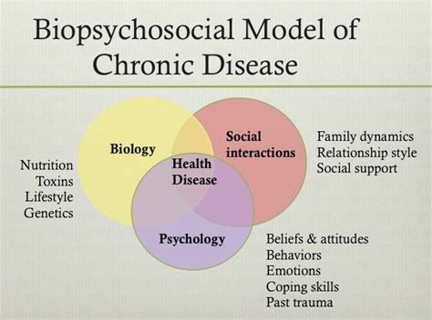 The biopsychosocial model is an interdisciplinary model that looks at the interconnection between biology, psychology, and biopsychosocial model. Biopsychosocial model disability
