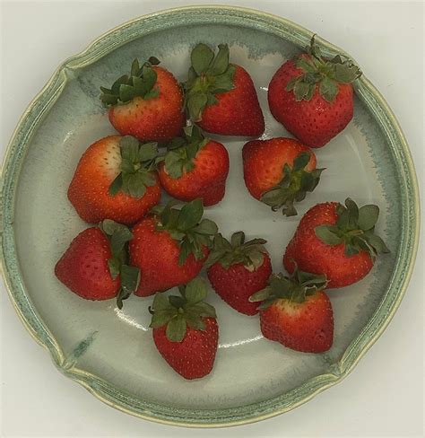 Paint a thick layer of sanding sealer over the furniture. Tropical Lime-Mint Winter Fruit Salad - The Biome Kitchen