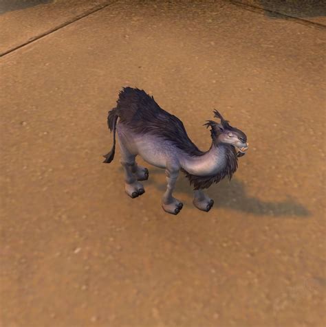 I'm showing how to find the mysterious camel figurines. Pygmy Camel - NPC - World of Warcraft