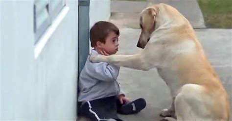 El Niño Y El Perro Se Vuleven Mejores Amigos En Un Vídeo Que Va A