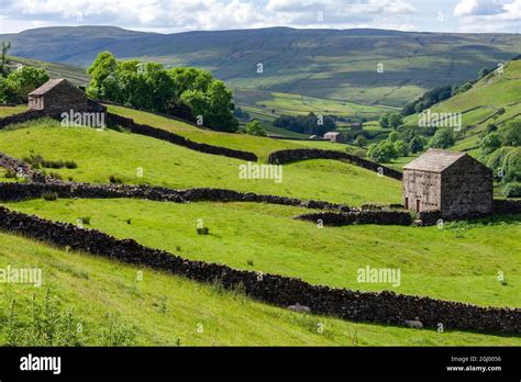 Traditional Dry Stone Walls And Barns In The Farmland Of The Yorkshire