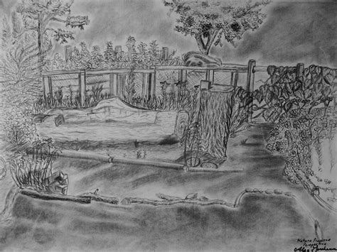 Nature Preserve Perspective Drawing By Alexandra Goncharova