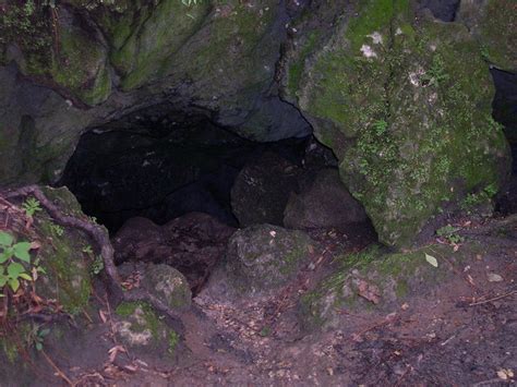 Withlacoochee State Forest Cave Flickr Photo Sharing