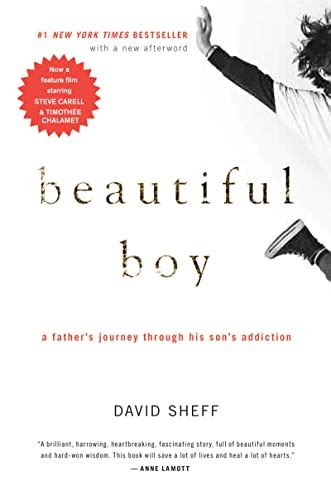 Beautiful Boy A Father S Journey Through His Son S Addiction Sheff