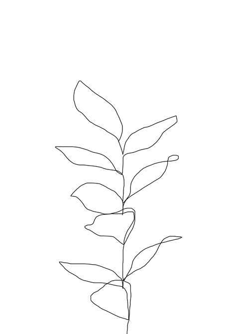 One Line Continuous Drawing From Plant Minimal Illustration Sketch