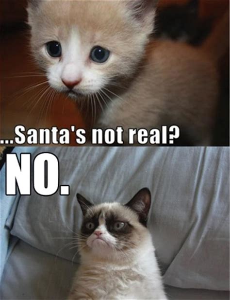 Grumpy Cat Funny Christmas Pictures Santa Is Not Real No Dump A Day