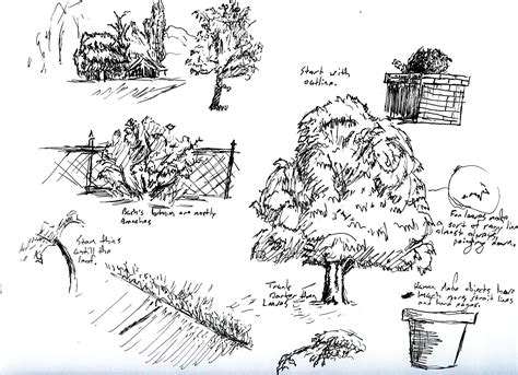 1000 Images About How To Draw Realistic Trees Plants Bushes And