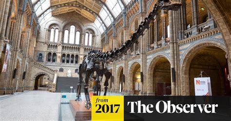 Dippys Last Days Diplodocus Leaves London After 112 Years For