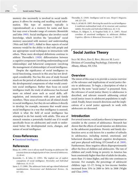Pdf Social Justice Theory