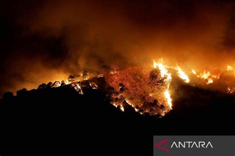Kebakaran Hutan Di Spanyol Antara News