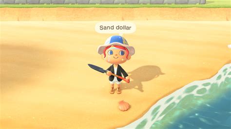 How Much Is A Sand Dollar Worth In Animal Crossing New Dollar