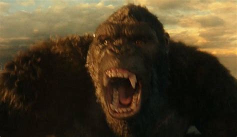 Kong rocked the internet on sunday. Godzilla vs. Kong first look revealed at CCXP Worlds
