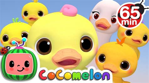 The 5 Little Ducks Cocomelon