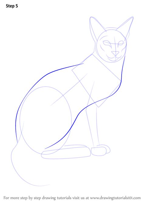 Learn How To Draw A Siamese Cat Cats Step By Step Drawing Tutorials