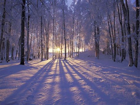 Nice Winter Wallpapers Wallpaper Cave