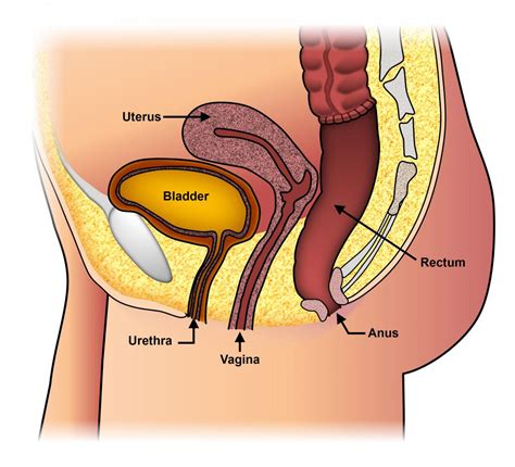 Women Prolapsed Uterus