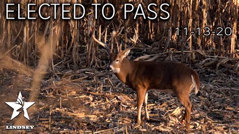 Real Time Passing A Giant Buck Iowa Week 1 Recap Youtube