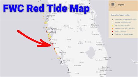 Where Is The Red Tide In Florida Using The New Fwc Red Tide Map Youtube