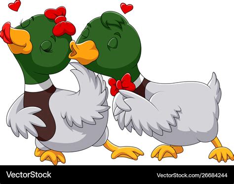Couple Duck In Love And Kissing Royalty Free Vector Image