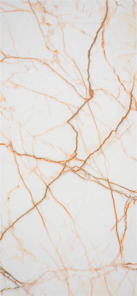 Check spelling or type a new query. 60+ Latest High Quality iPhone 11 Wallpapers & Backgrounds ...