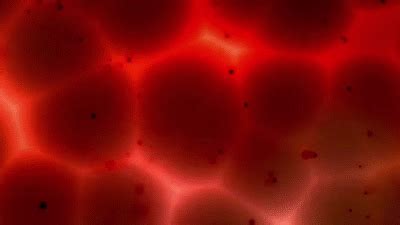 Red 300mv,green 50mv, blue 100mv scanning system: Infected - FREE Motion Background Loop HD 1080p on Make a GIF