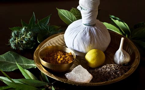here are 5 ways to experience the benefits of ayurvedic healing squmj