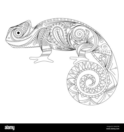 Chameleon Doodle Stylized Zentangle Lizard Ornament Coloring Book