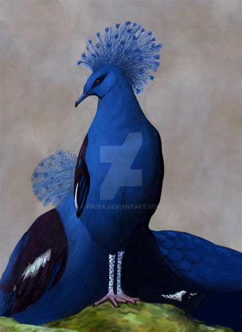 Victoria Crowned Pigeon By Fruba On Deviantart