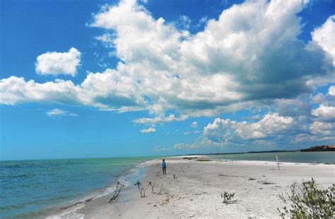 Check spelling or type a new query. Southwest Florida's hidden beaches - Sun Sentinel