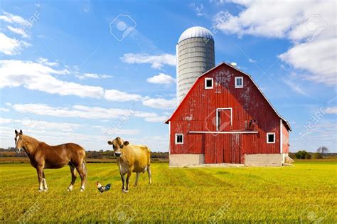 Farm Animals And Their Barns