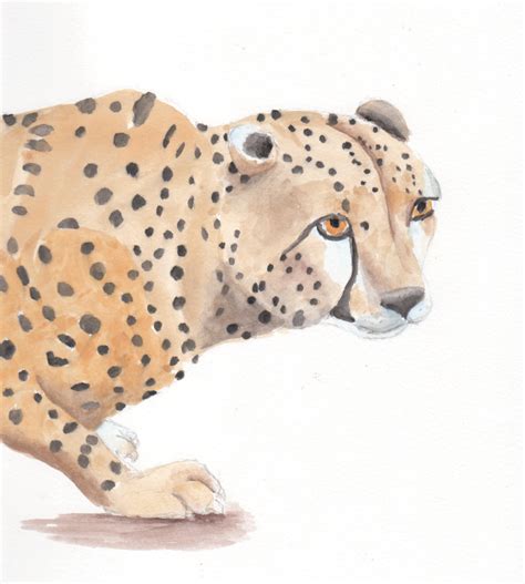 Wde May Cheetah Wetcanvas Online Living For Artists