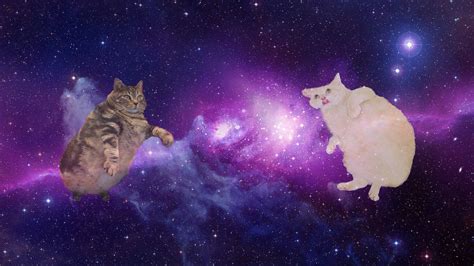 Galaxy Cat Desktop Wallpapers On Wallpaperdog