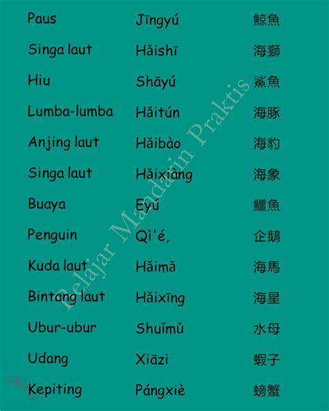 Nama Hewan Dalam Bahasa Mandarin Belajar Mandarin